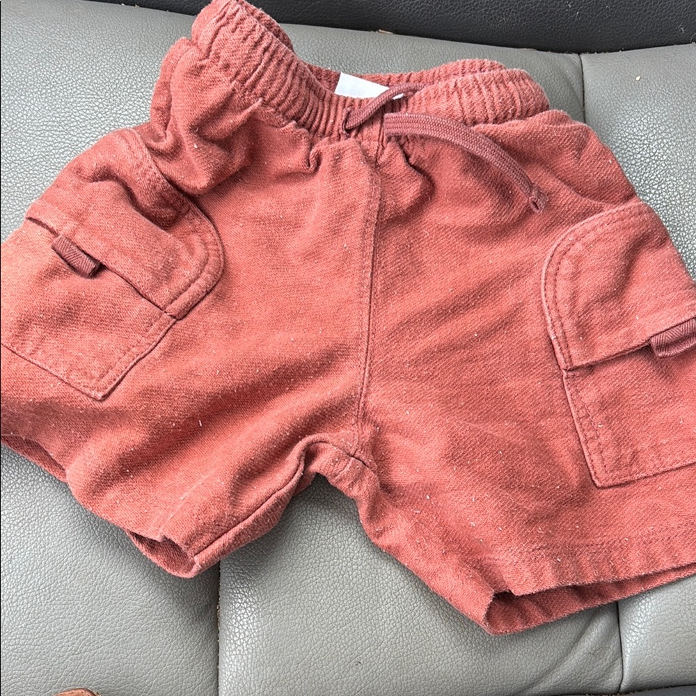 Zara burnt orange  Shorts